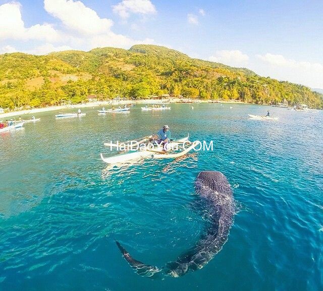 2019年旅游首选岛屿——泰国普吉岛