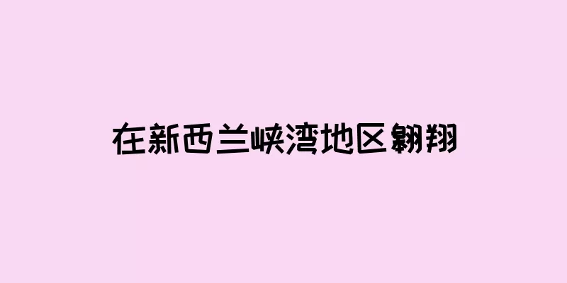在新西兰峡湾地区翱翔