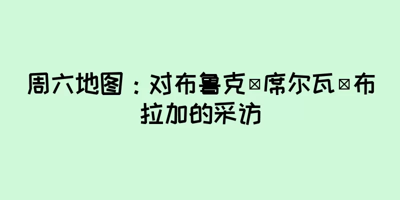 周六地图：对布鲁克·席尔瓦·布拉加的采访