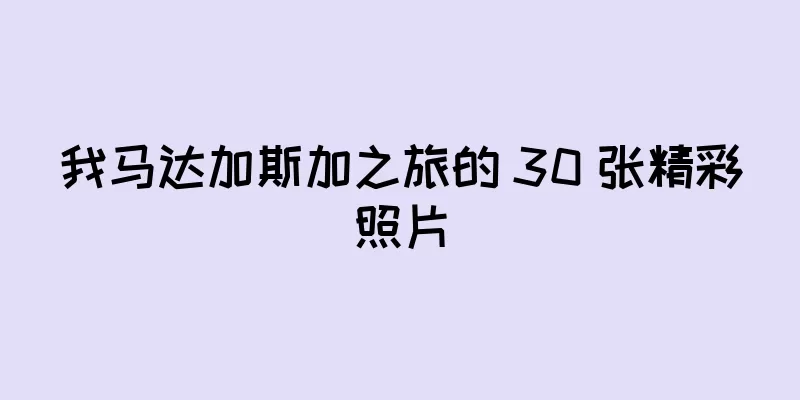 我马达加斯加之旅的 30 张精彩照片