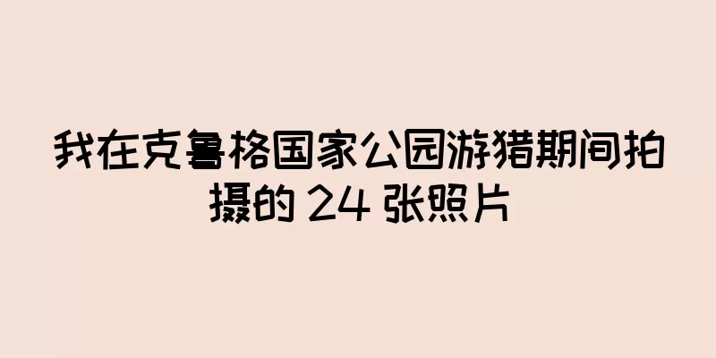 我在克鲁格国家公园游猎期间拍摄的 24 张照片