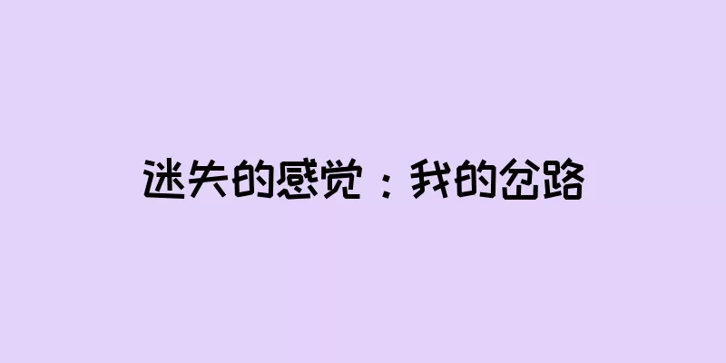 迷失的感觉：我的岔路