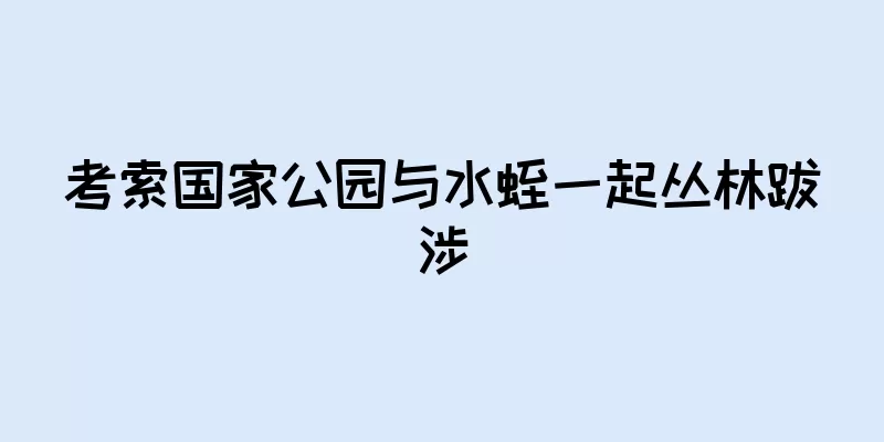 考索国家公园与水蛭一起丛林跋涉